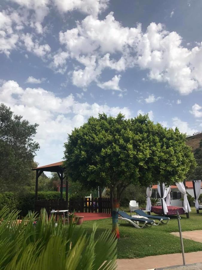 Hotel El Paso Вьер де ла Фронтера Экстерьер фото